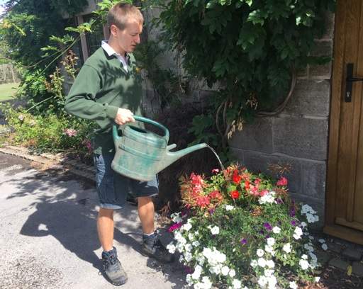 Watering plants in front of house